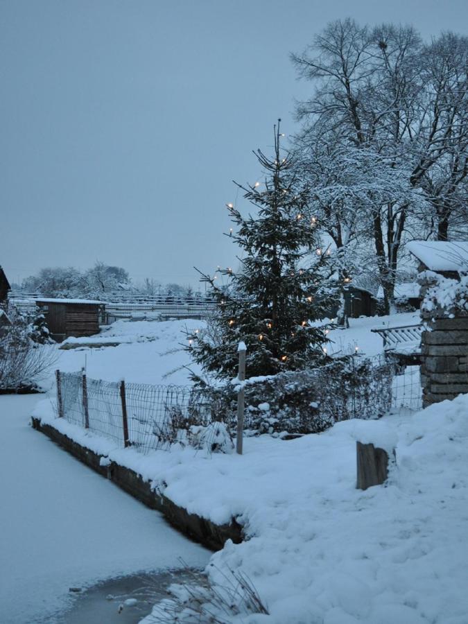 Feriengut Dietzsch Appartement Poritzsch Buitenkant foto